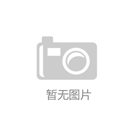 分享充电龙8登录宝市场竞争格局分析
